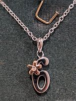 Front view of silver necklace and pendant