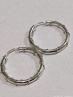 Both hoop earrings front view