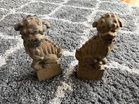 Both bronze Foo Dog statues on carpet