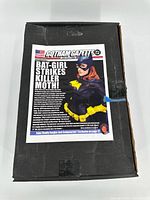 Black box with Gotham Gazette Batgirl insert
