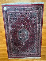 Full view of rug showing pattern, colors, fringe, scale