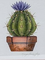 Close-up of watercolor showing cactus detail