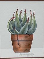 Close-up of watercolor cactus in pot