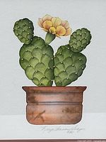 Close view of watercolor showing cactus, flower and pot