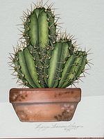 close-up of cactus watercolor artwork