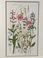 Close-up of painting showing botanical detail, mat and inner fillet