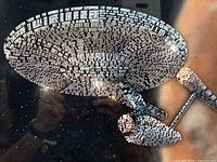 Full framed print showing USS Enterprise silhouette made of quotes