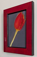 Side view of framed Tulip painting showing red lacquer frame and depth