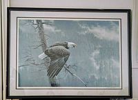 Full view of framed Robert Bateman print