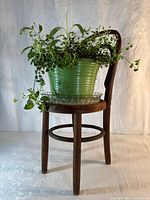 Chair with plant and plate front view