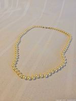 Full view of pearl necklace arranged in oval shape
