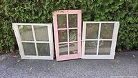 Three painted wooden window frames leaning against hedge