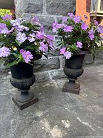 Pair of planters side by side