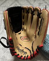 Interior view showing Players Series marking and Rawlings logo