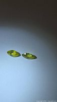 Two marquise cut chartreuse sphene gemstones side by side