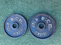 Pair of Excel 25 lb weight plates front view