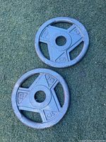 Both 10 lb cast iron Olympic plates on turf