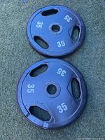 Pair of black 35 lb Olympic plates on turf
