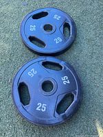 Both 25 lb plates front view