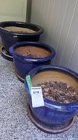 Three blue ceramic planters with saucers lined up, showing size comparison and soil remnants