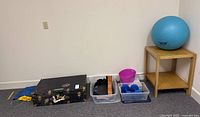 Overall lot with trunk, bins, weights, table, exercise ball