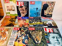 All eleven LIFE magazines front covers visible in two rows