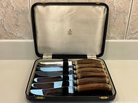 open case displaying six steak knives with horn handles