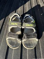 Top view of pair showing straps, logo and footbeds