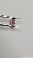 Oval pink tourmaline held in tweezers showing profile view