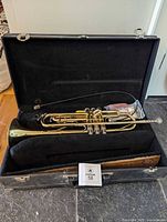 trumpet inside hard case with brush and grease visible