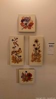 Group shot of four framed botanical artworks on wall