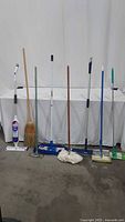 Full view of eight floor cleaning tools standing upright