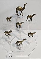 Seven brass camel figurines displayed on acrylic risers