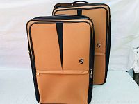 Two Hayes luggage suitcases, tan and black, shown standing upright, front view visible.