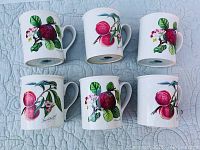 Top view of six coffee mugs showing different fruit branch illustrations from the Portmeirion Pomona collection.