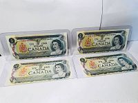 Four 1973 Canadian one dollar bills displayed in protective sleeves showing front side with Queen Elizabeth II portrait and Canadian coat of arms.