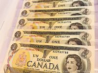 Close-up image of a subset of consecutive 1973 Canada one dollar bills showing front face with Queen Elizabeth II portrait and serial numbers.