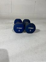 Pair of blue 5 lb Reebok dumbbells, end view showing weight and logo