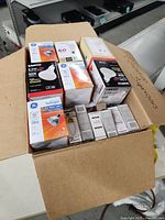 Open carton showing entire assortment of bulb packages