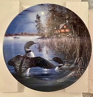Front view of the decorative plate showing loon artwork