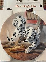 Front of plate showing Dalmatian puppy artwork