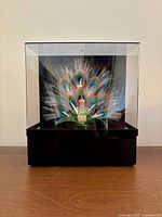 Peacock lamp unlit showing overall structure in clear acrylic case on black base