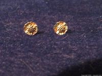 Front view of both stud earrings on dark fabric showing tri-color floral design