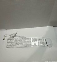 Apple wired keyboard and wireless mouse on white surface
