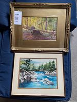Both framed watercolours overview