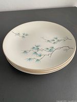 Stack of five Misty Morn plates showing edge profile and pattern
