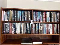Two shelves filled with hardcover novels
