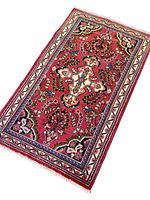 Full view of the Lilihan rug showing entire design and borders