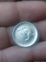 Reverse of 1967 Canadian 5-cent coin with rabbit design
