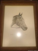 Full view of framed horse head print